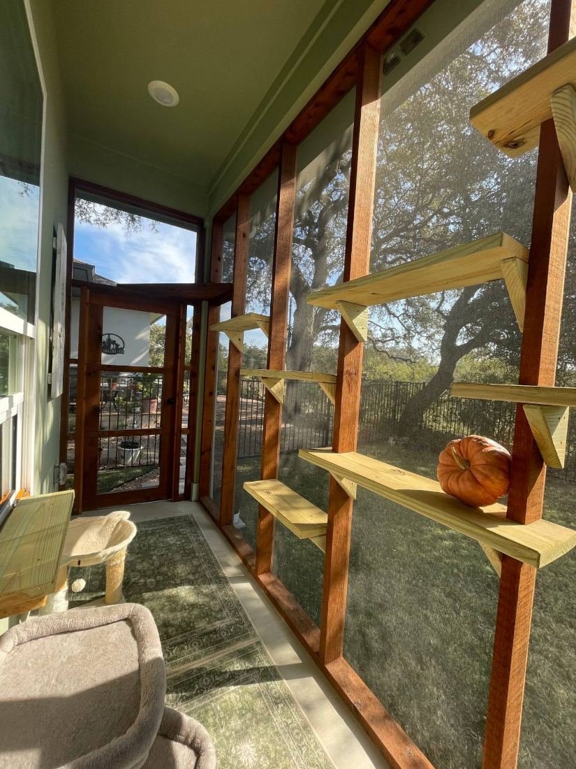 Two cats sharing a cedar shelf inside a catio