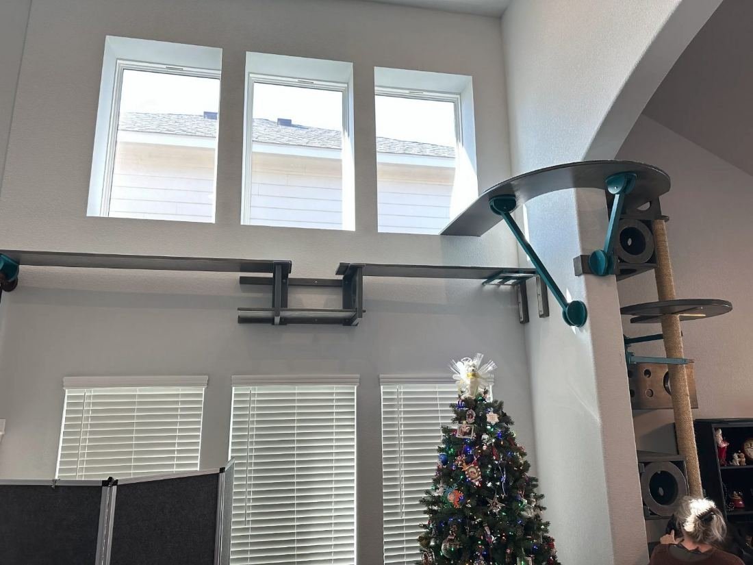 Indoor cat walkways crossing high above a living room, mounted along the wall below the ceiling