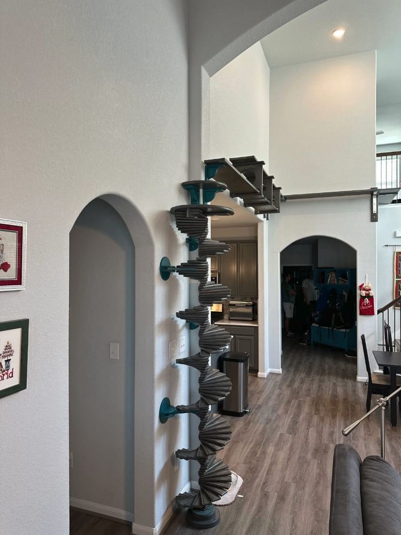 Spiral cat staircase climbing a living room wall beside an archway