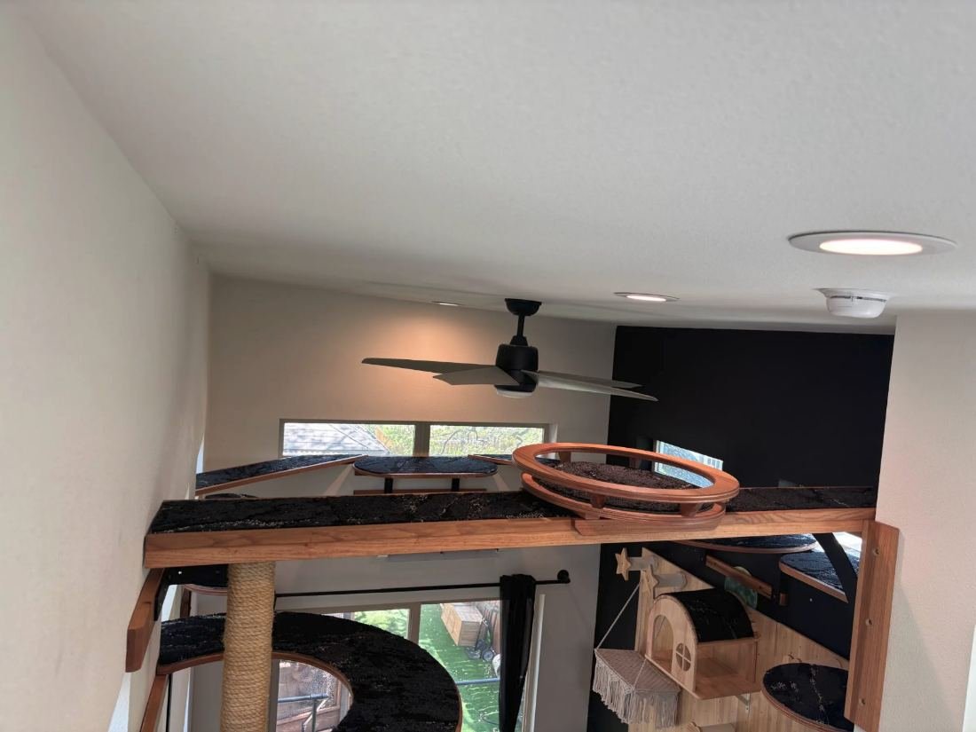 Indoor cat tower and looped perch below ceiling-height walkways