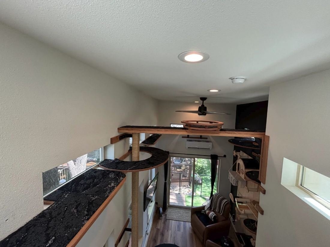 Ceiling-height indoor cat walkways running the length of a living room
