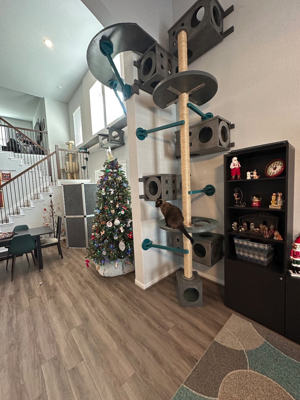 Full-height sisal post with cube houses and perches climbing a living room column