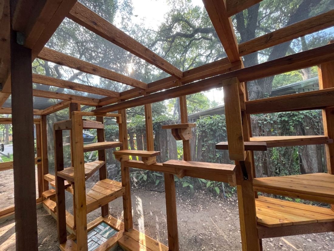 Inside a Signature catio built under live oaks, cedar climbing routes on every wall