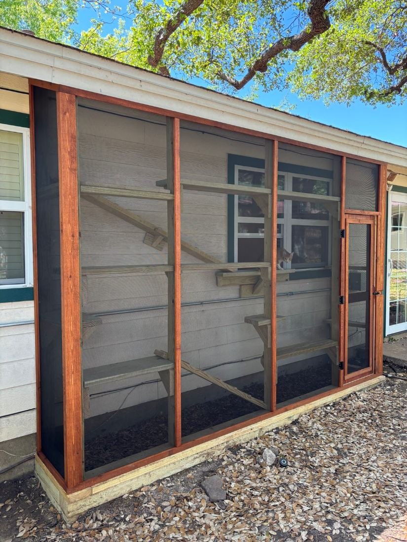 Window catio running the length of the wall in cedar and black screening, shelves and ramps inside, a ginger cat stepping out through the window