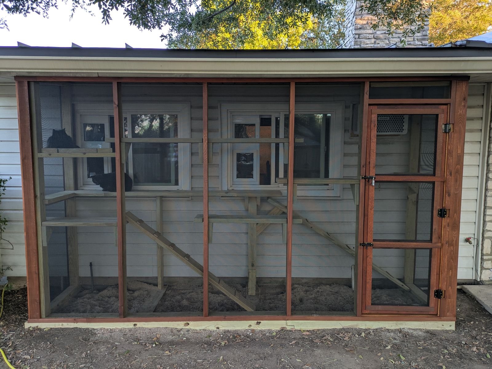 A wide screened catio against white siding with tiered wood shelves and ramps, a black cat resting on the top shelf
